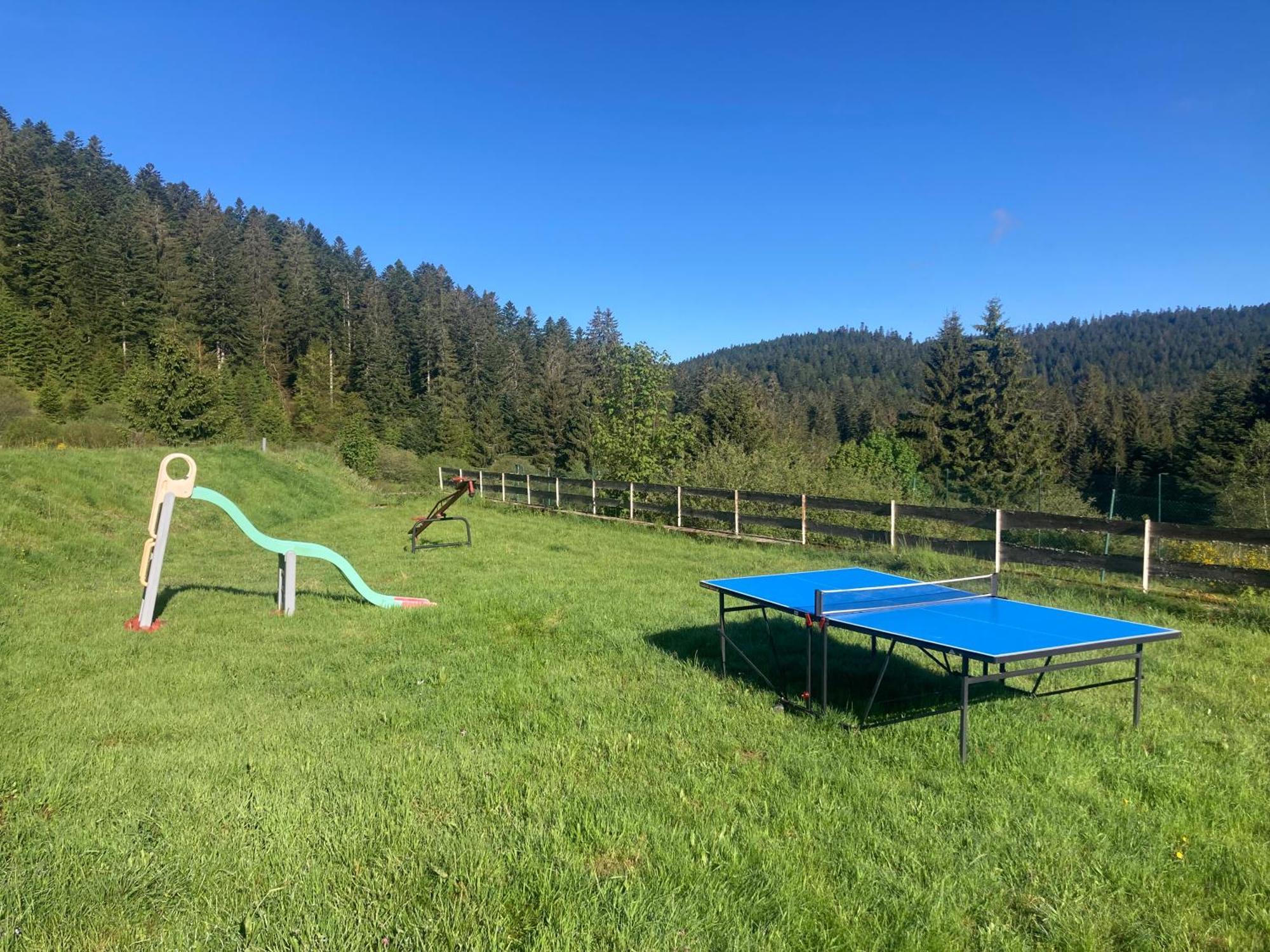 Apartament Le Perchoir- Grand Valtin 6 Pers Ban-sur-Meurthe-Clefcy Zewnętrze zdjęcie
